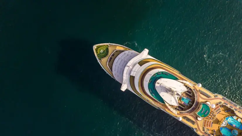 cruise luggage valet service